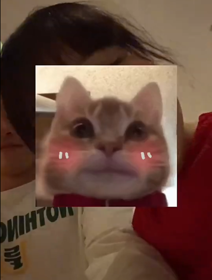 持续在网络, https, NsuF