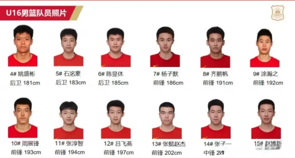 年没参加, 只要中国队, 男篮世界杯