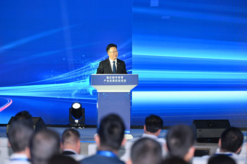 阶段, 市级围棋赛